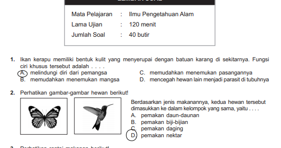 Pembahasan Soal Usbn Ipa Smp Tahun 2018 Herbets Books
