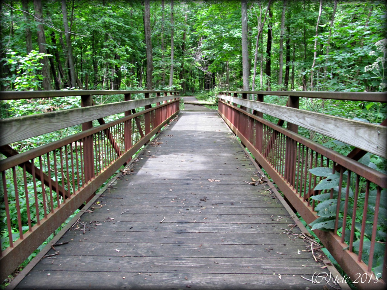 Oakland, Il...worth a second glance Walnut Point State Park this morning