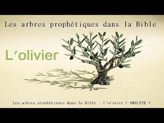 W.K.P: Les arbres prophétiques dans la Bible