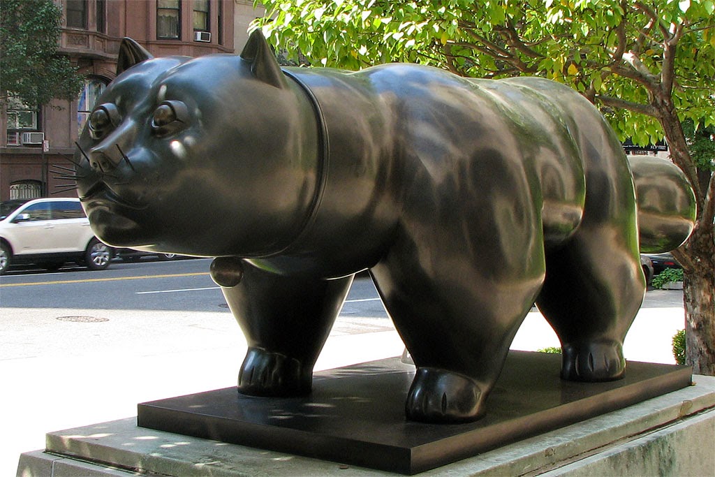 Daily Photo Stream Gato