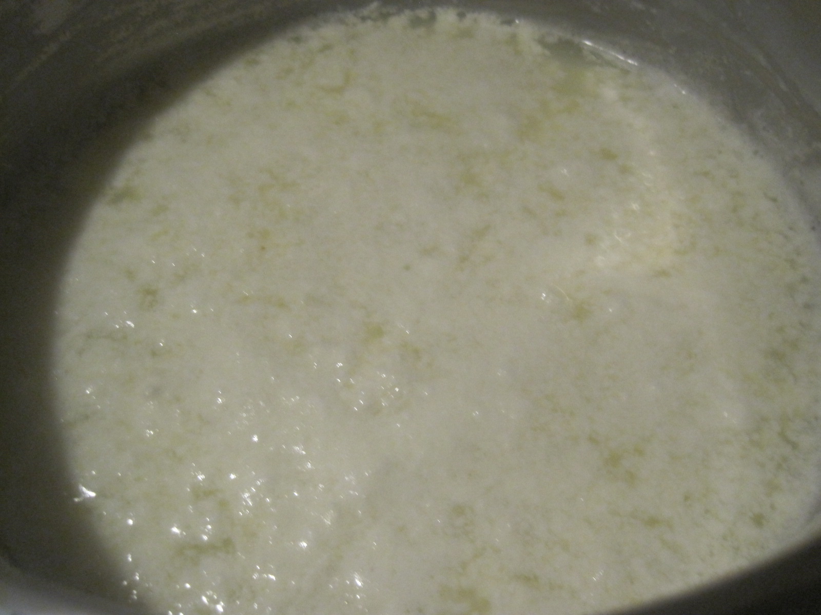 Mozzarella selbst gemacht – glatzkoch.de