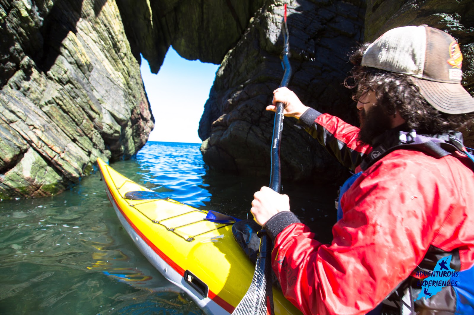 Adventurous Experiences Blog kayaking with seals...