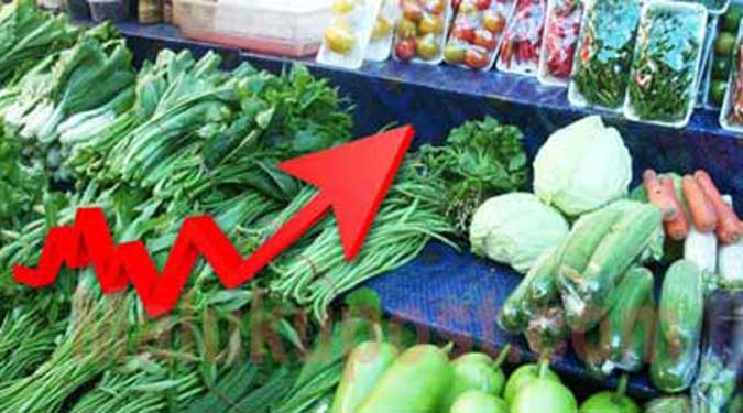Harga Sayuran Produksi Lokal Di Ambon Naik Ambon, Malukupost.com - Harga berbagai jenis sayuran produksi petani lokal di Pulau Ambon yang ditawarkan para pedagang pasar tradisional di Ambon pada awal pekan ini mengalami kenaikan. "Harga sayuran di pasar tradisional Mardika maupun Batu merah bergerak naik, terutama jenis daun-daunan seperti bayam, sawi, daun singkong dan daun melinjo," kata petugas pemantauan harga dari Dinas Perindustrian dan Perdagangan Provinsi Maluku, Dede, di Ambon, Senin (14/8).