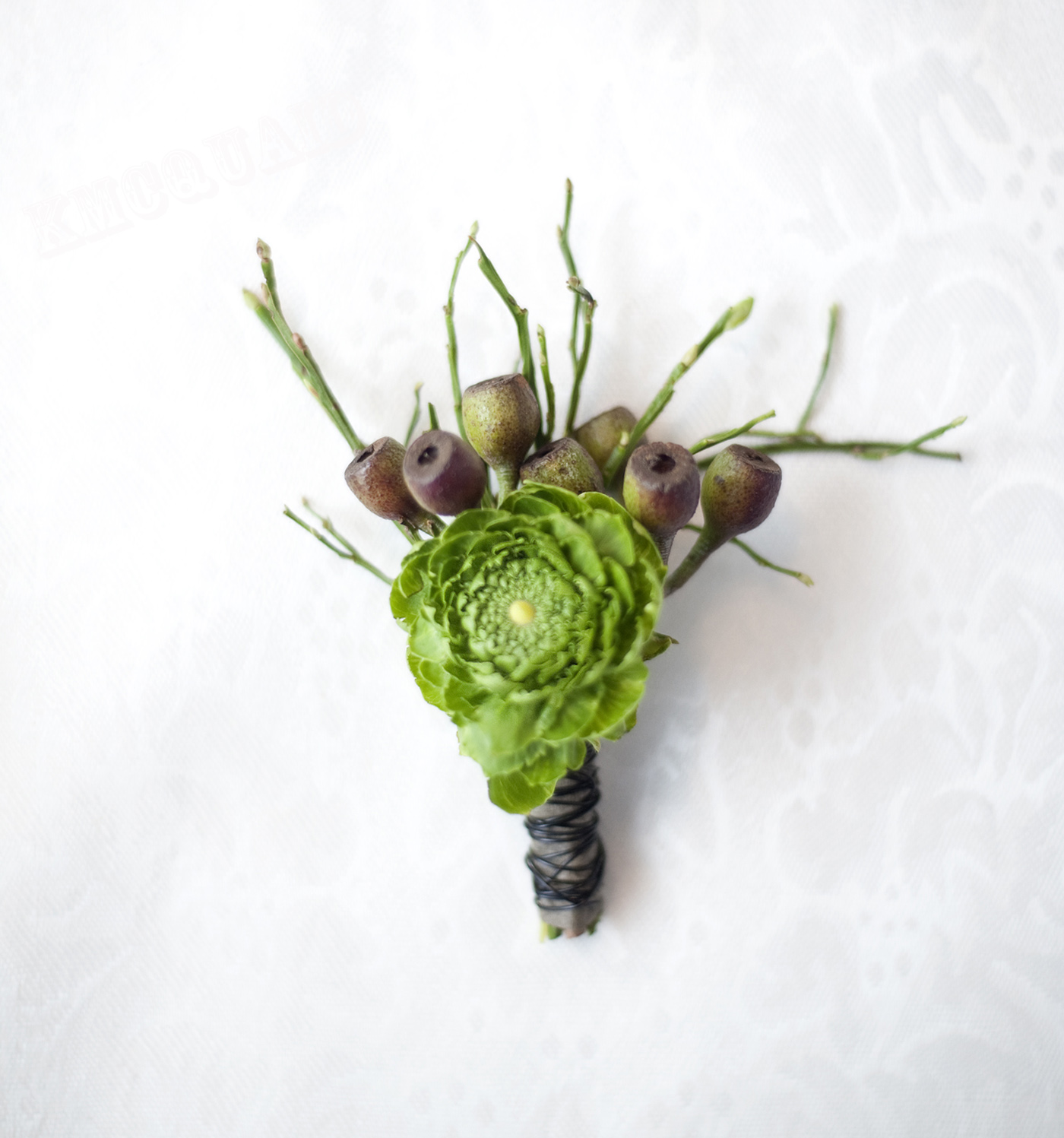 the daily daisy! Chicago Florist