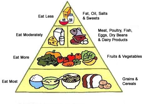 Cat Healthy Food Recipes Cat Healthy Food Recipes
