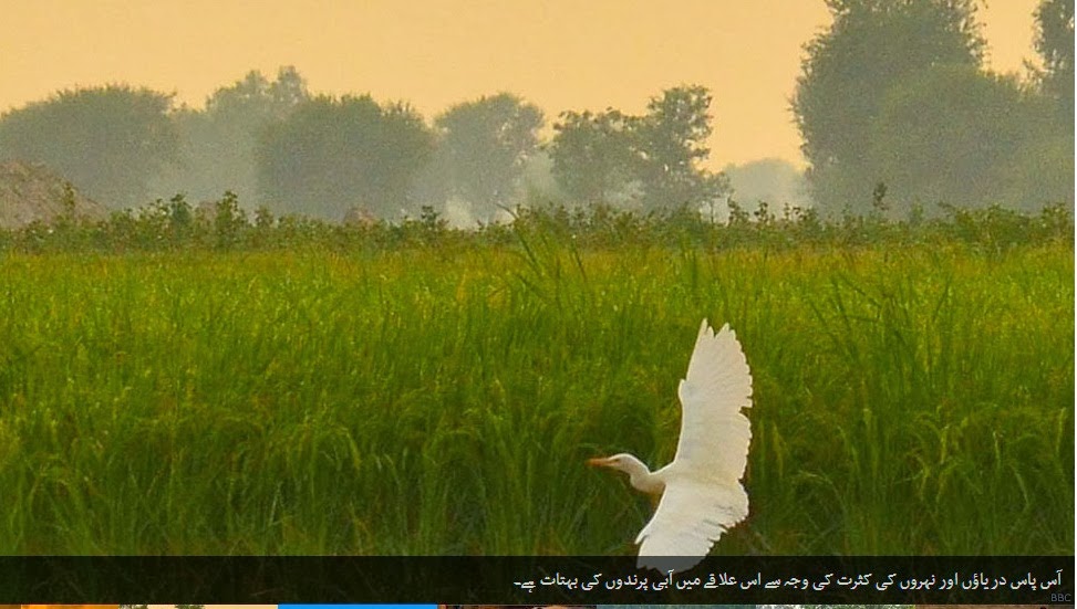 PUNJAB THE INCREDIBLE LAND OF FIVE RIVERS visual data 7