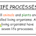 Life Processes   