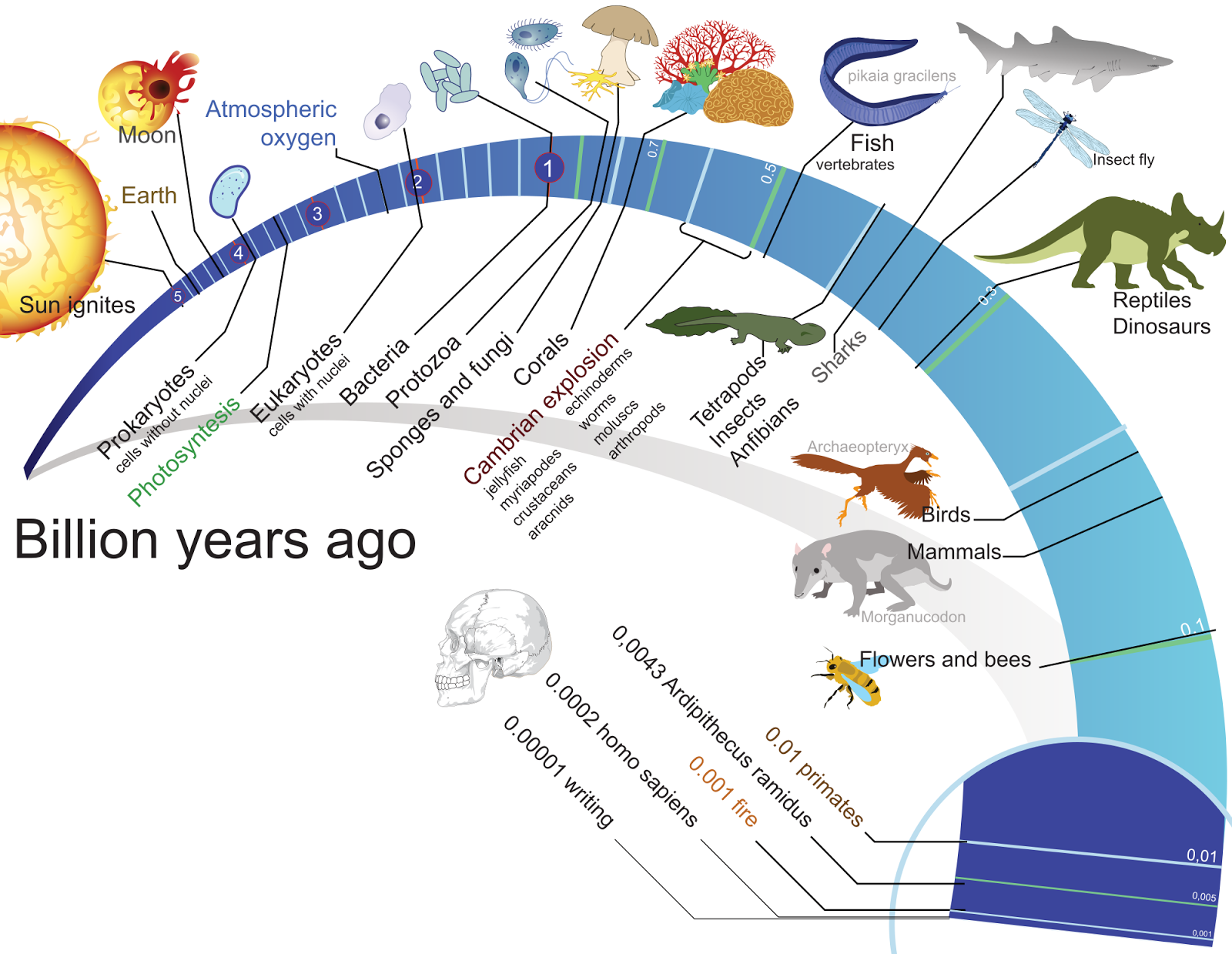 my question is what would earth specifically been like if dinosaurs were still alive and haven t been wiped out my question is what would earth specifically been like if dinosaurs were still alive and haven t been wiped out