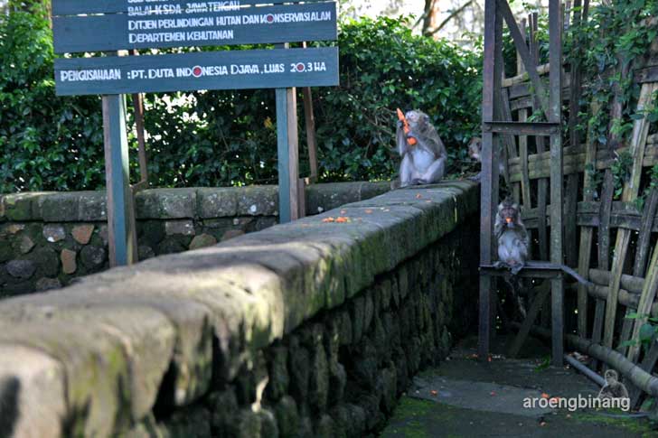 grojogan sewu tawangmangu karanganyar