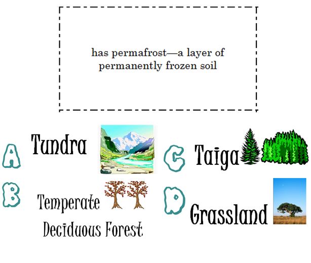 Life love literacy biome characteristics multiple choice