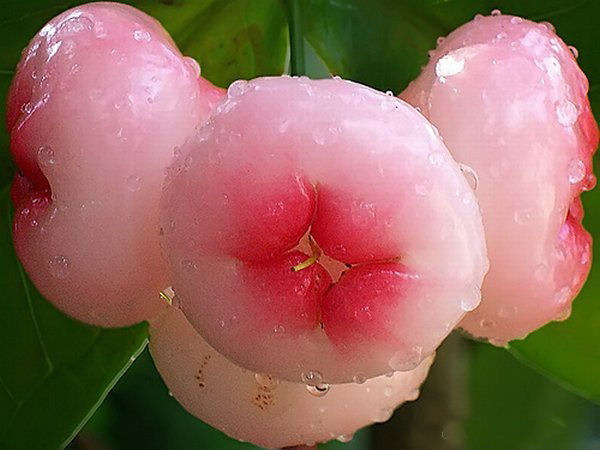 To re-live our Old memories