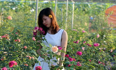Nợ em- Nợ em-