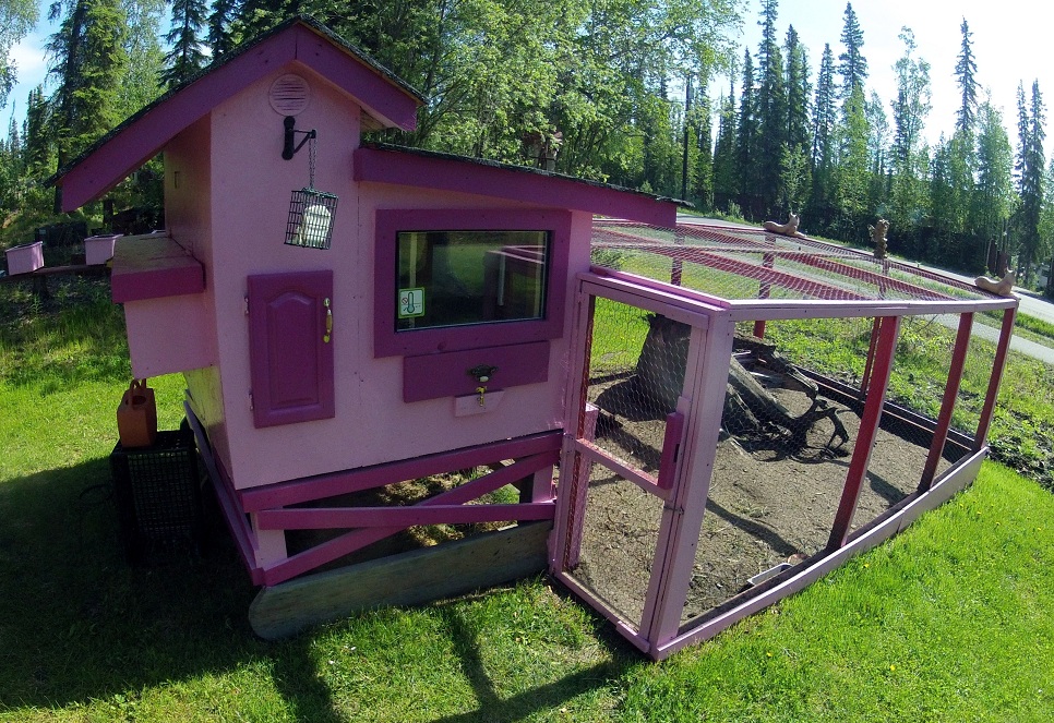 Fairbanks Alaska Office Of Children's Services Stole Our Grand Children