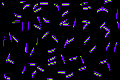 tumblr_l8bo0czHZP1qzobxio1_500.gif