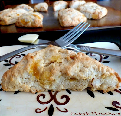 Tropical Scones: start your day with tropical fruits and nuts baked into a flaky scone. | Recipe developed by www.BakingInATornado.com | #recipe #breakfast #brunch