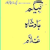 Funny Story Begam Badshah Ghulam