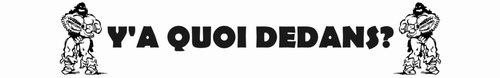 BANNIINFO3.jpg