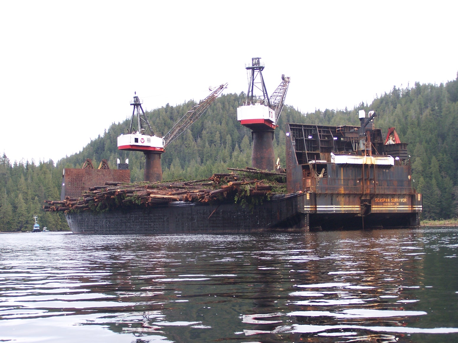 life on the inlet Heli logging
