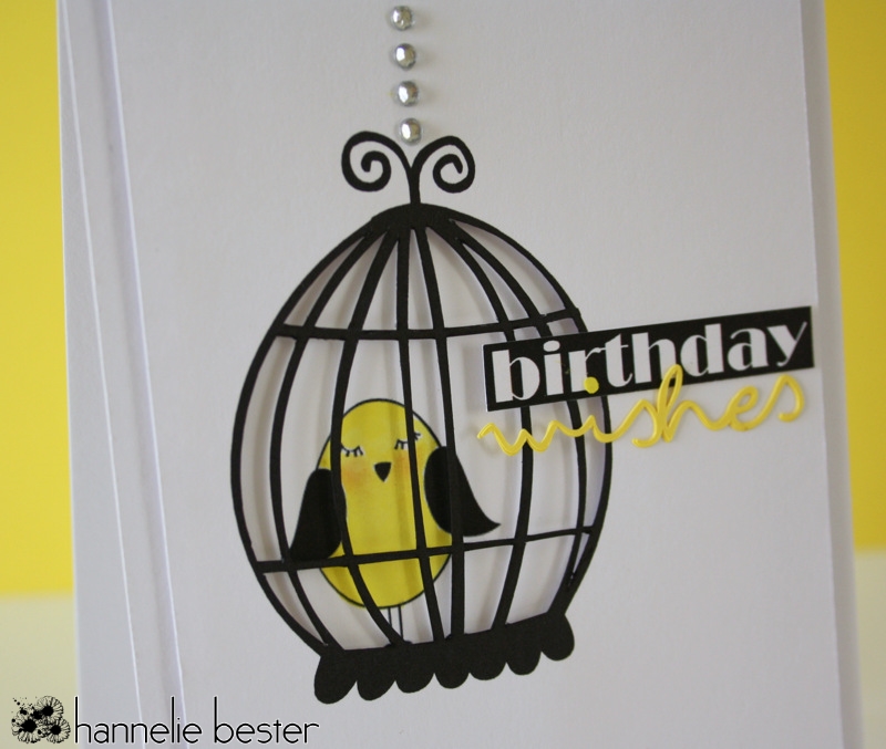 birdie birthday wishes