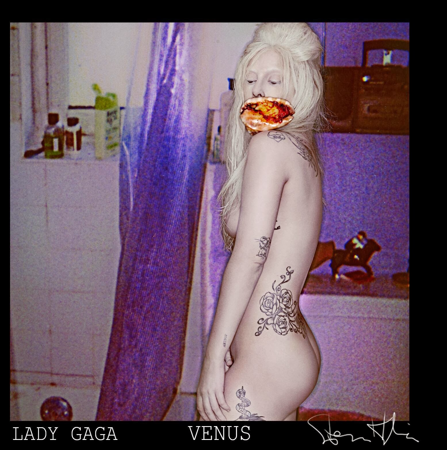 VENUScover3.jpg