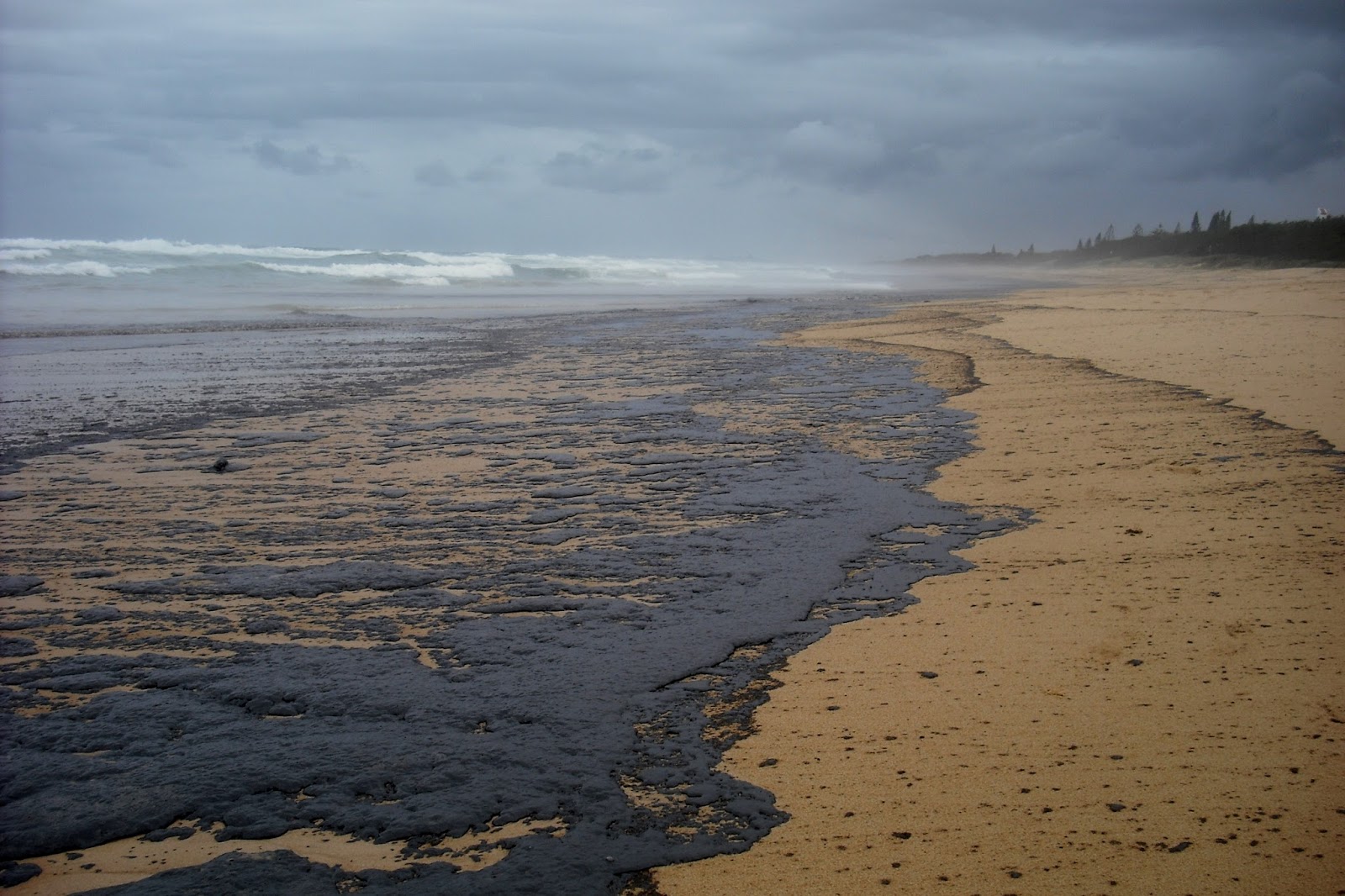 экологические проблемы и их решения индийского океана