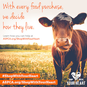 Shop With Your Heart ASPCA