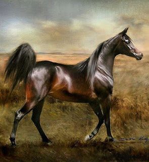 caballos-arabes-pura-sangre-cuadros-pintados