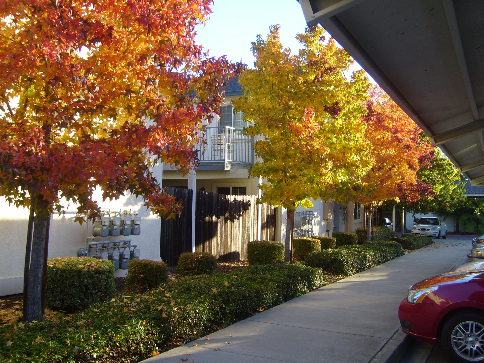 Rose Garden Senior Apartments