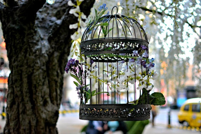 The Botanist Chelsea in Bloom 2015 Sloane Square