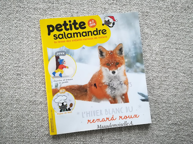 || Sélection de livres sur les renards - Magazine Petite salamandre || Sélection de livres sur les renards - Magazine Petite salamandre