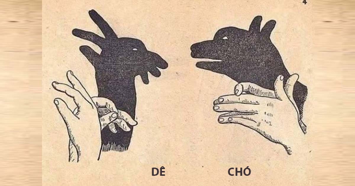 Bí mật của nghệ thuật tạo bóng hình từ bàn tay thông thạo Bí mật của nghệ thuật tạo bóng hình từ bàn tay thông thạo