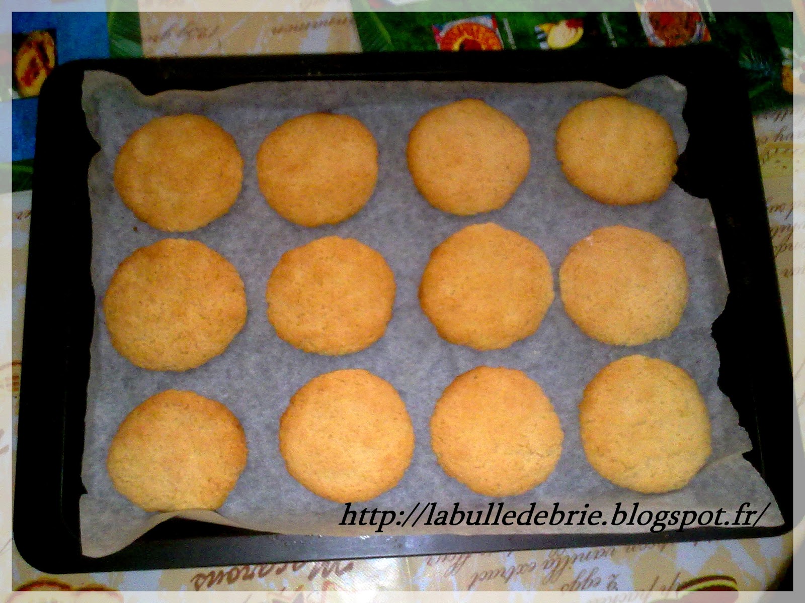 La Bulle de Briagenn Biscuits au coco sans œuf/lait/beurre