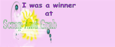 Scrap and Grab winner
