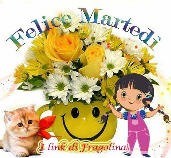 IMMAGINI BUON MARTEDI'