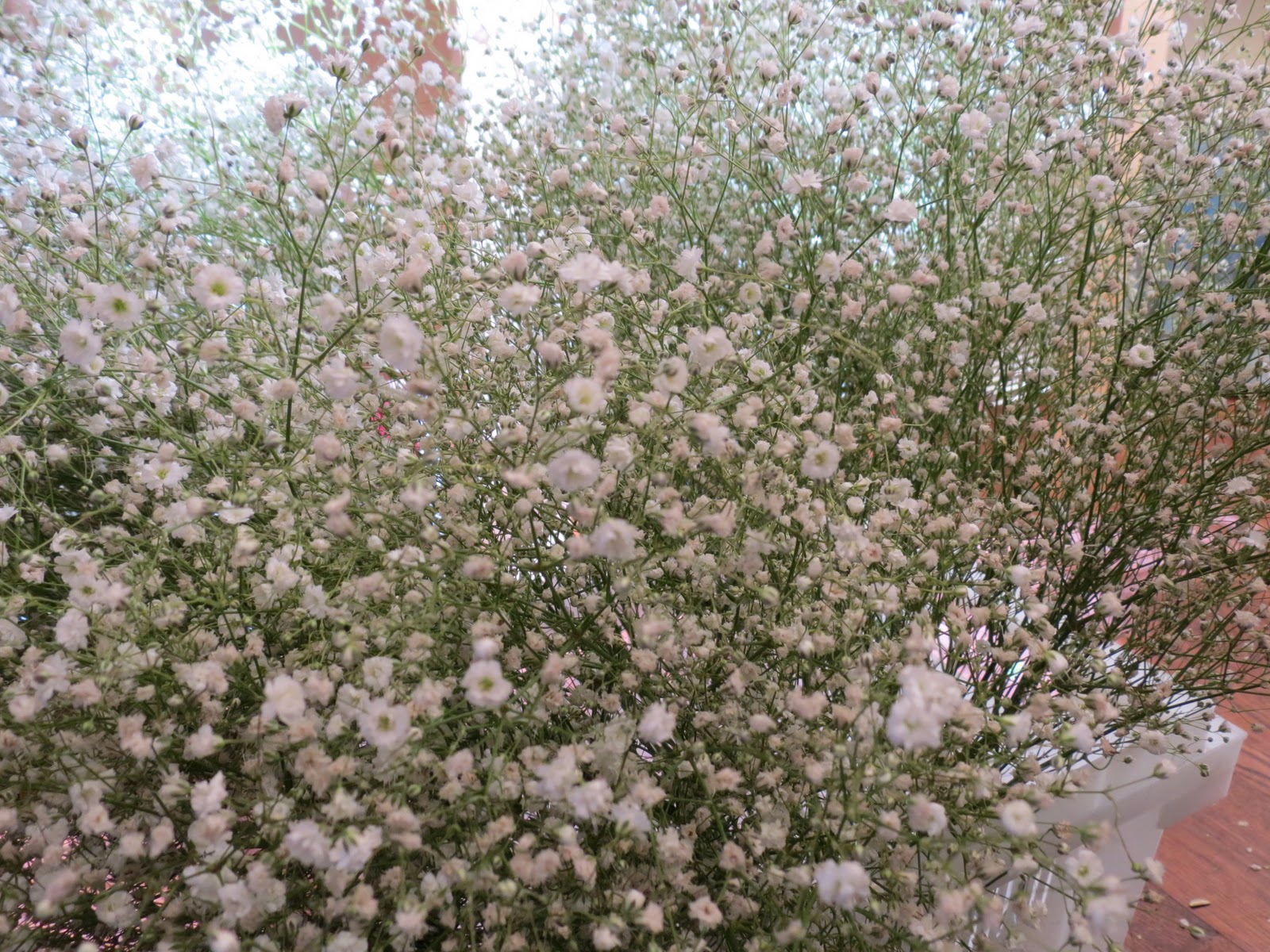 La Fleur Vintage Expert Advice From Elizabeth Baby's Breath Ornaments