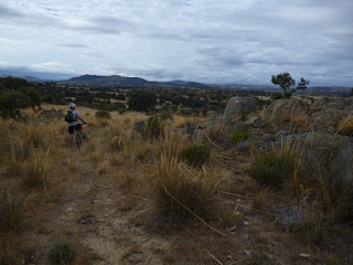 Cañada real Soriana Occidental