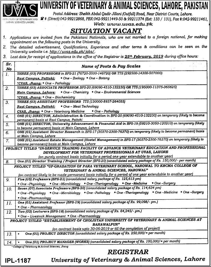 University Of Veterinary And Animal Sciences (UVAS) Announced Jobs in Lahore