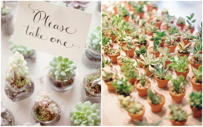 Decoración catus bodas