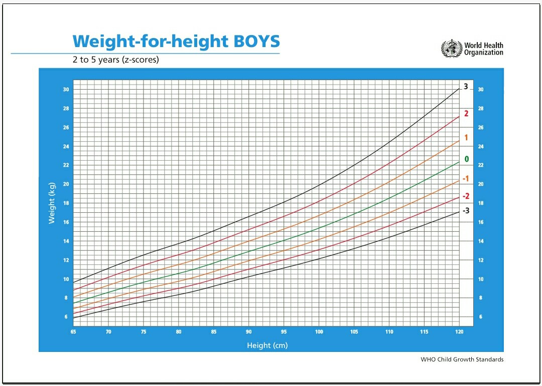 Kenali Kegemukan Pada Anak Dengan Bijak ; Penyebab dan