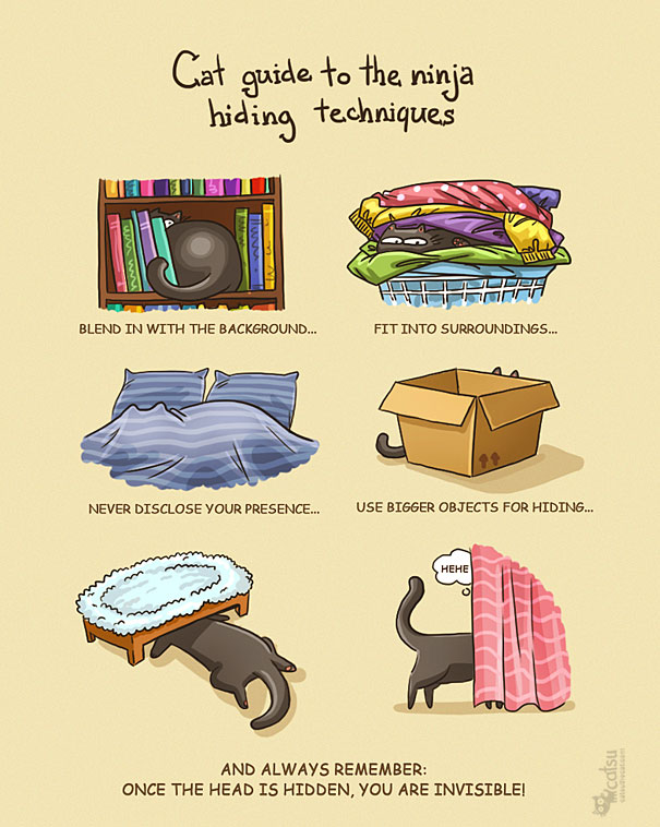 15+ Comics That Purrfectly Capture Life With Cats 15+ Comics That Purrfectly Capture Life With Cats
