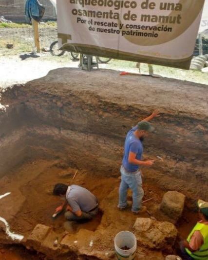 Arqueólogos, descubrimiento