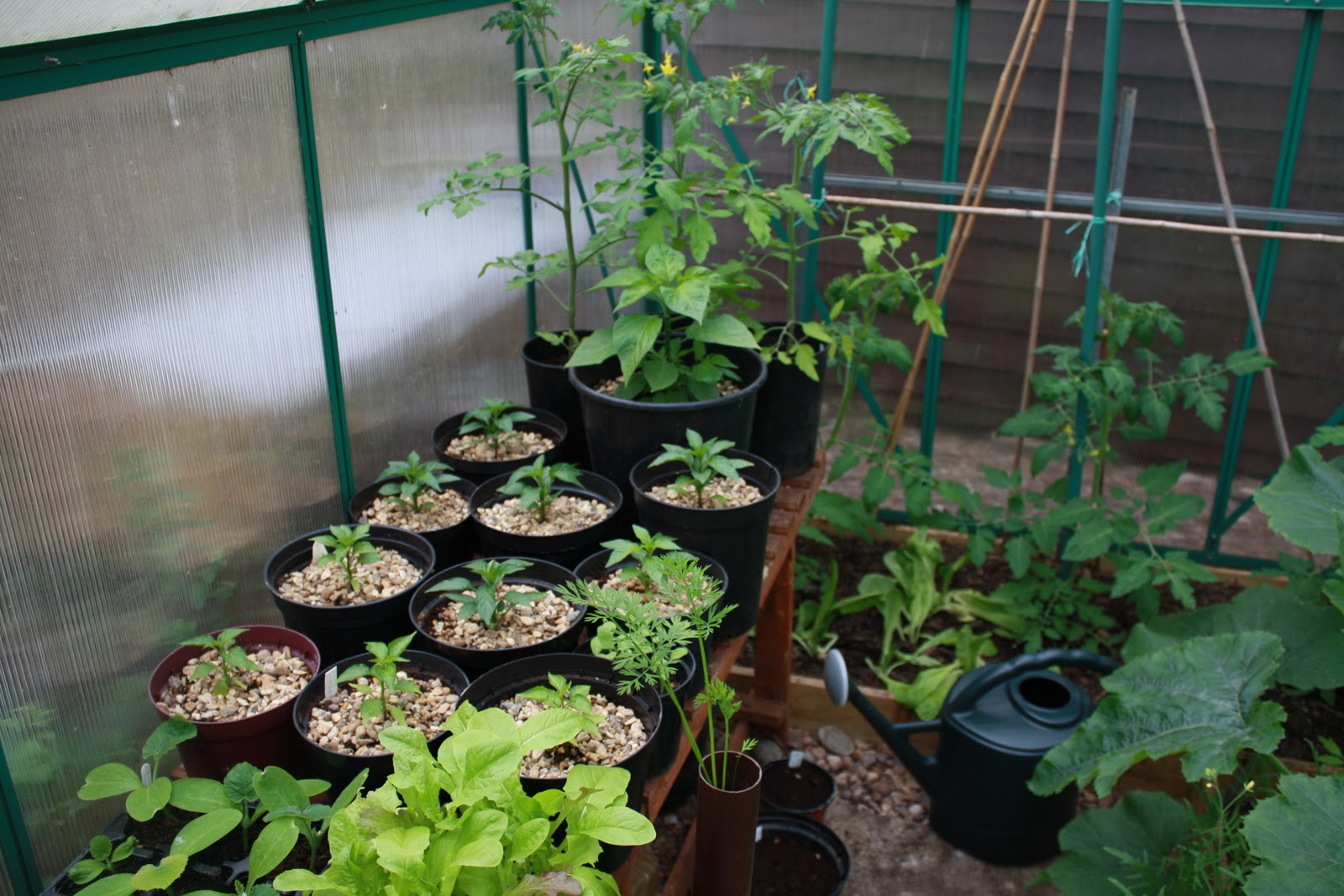 Slade Valley Roots Midwinter thoughts of heat and warmth