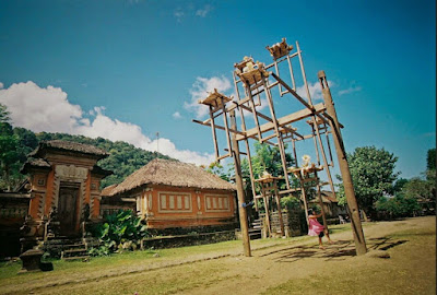 gambar tradisi ayunan desa tenganan