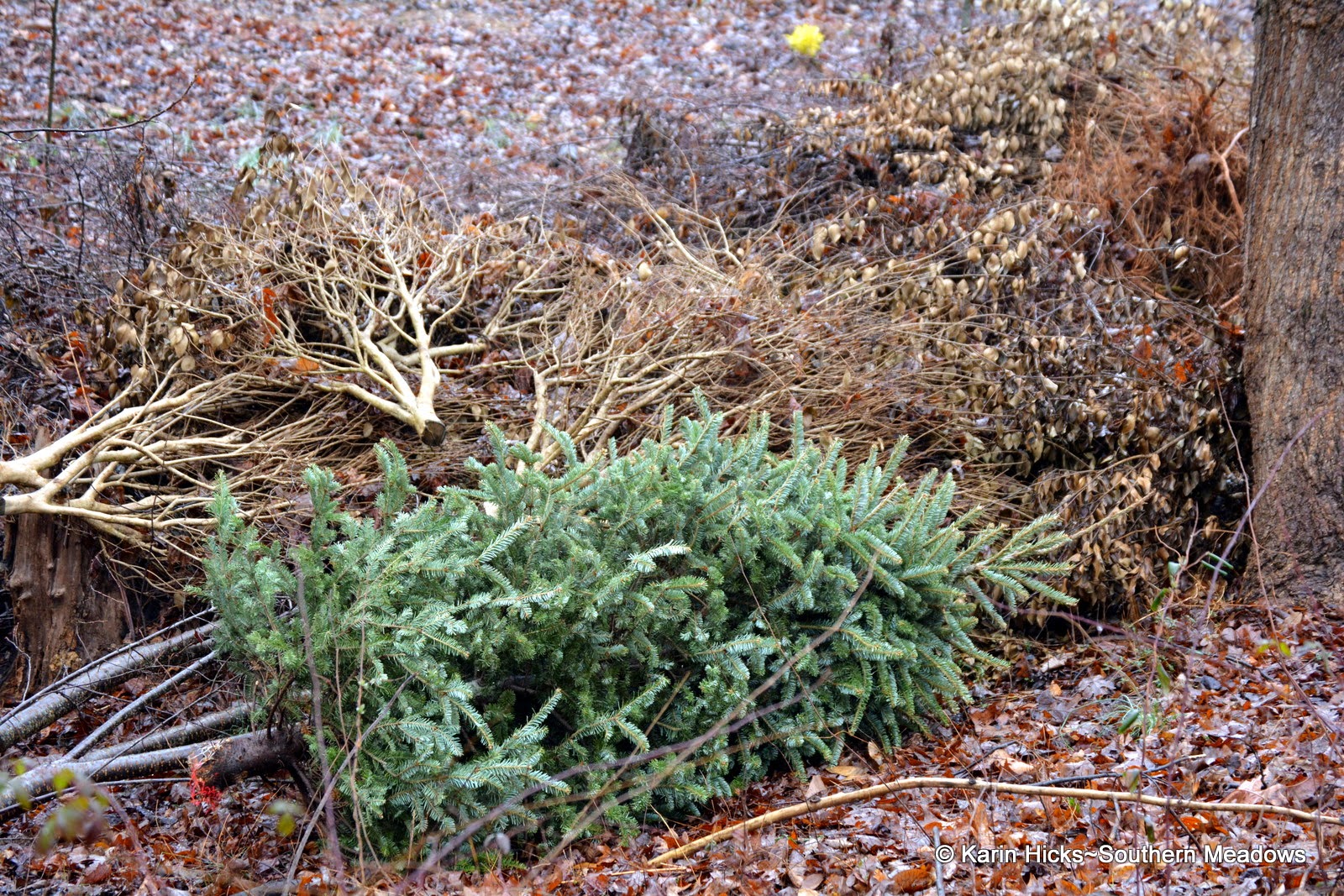 On Creating a Brush Pile