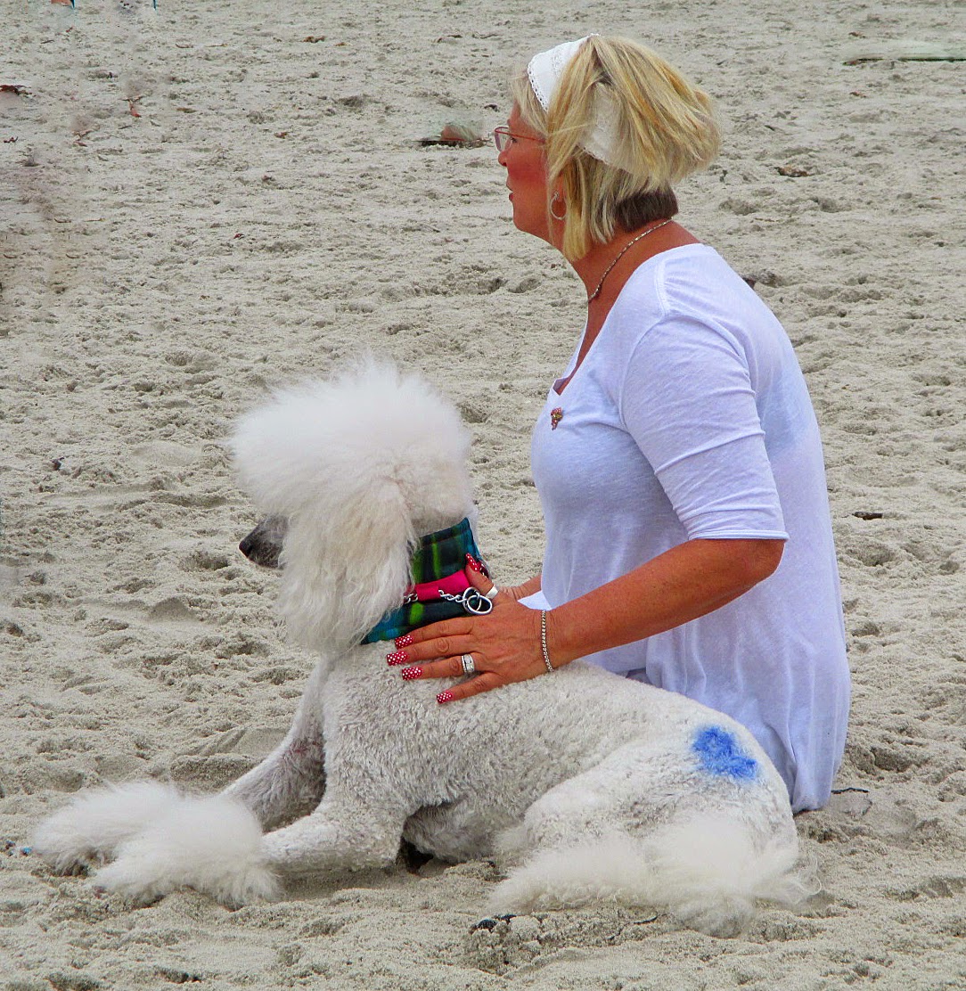 Carmel Poodle Day