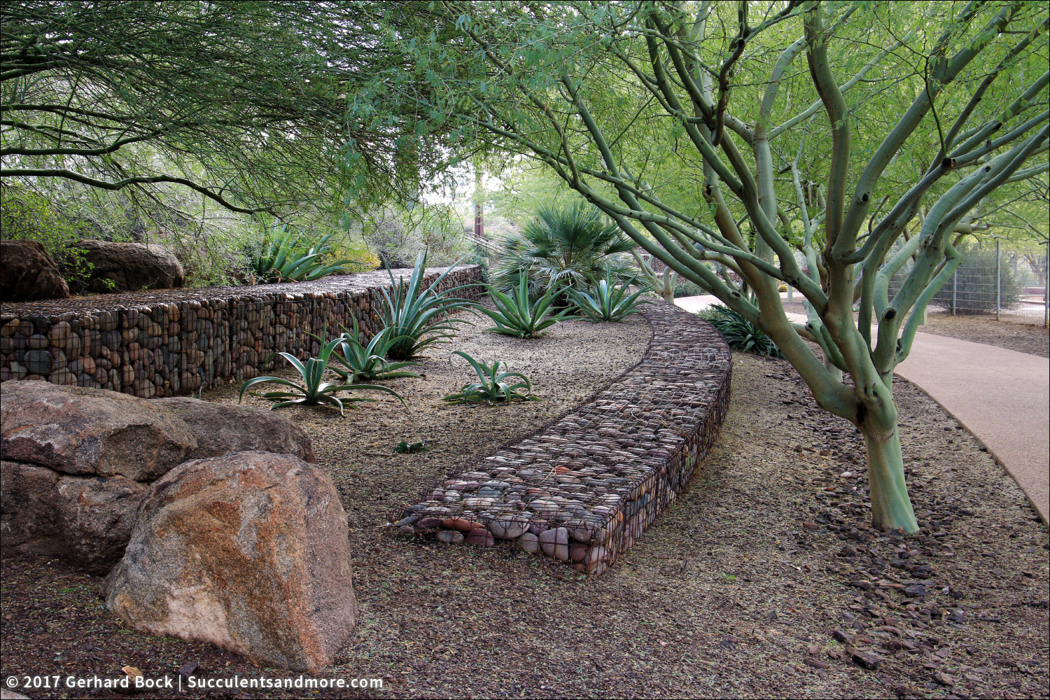 Scottsdale Xeriscape Demonstration Garden gabions, shade sails, and