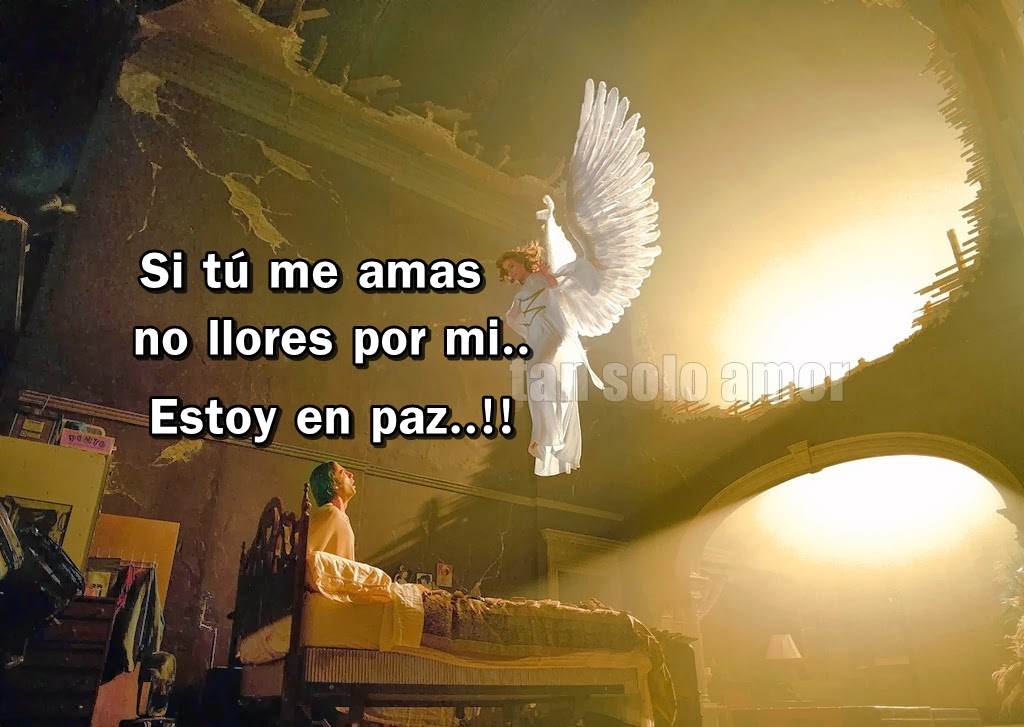 tan solo amor No llores por mí... Estoy en Paz..!! tan solo amor No llores por mí... Estoy en Paz..!!