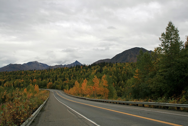 DENALI NATIONAL PARK - LA ULTIMA FRONTERA. CRONICAS DE ALASKA (8)