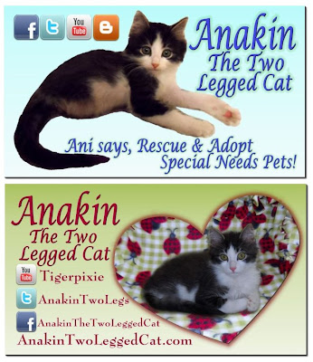 Anakin The Two legged Cat Business Card