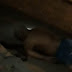VÍDEO: Homem é morto a tiros no bairro da Maternidade, em Patos